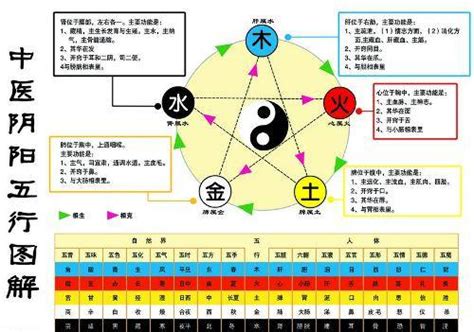 金生水 五行